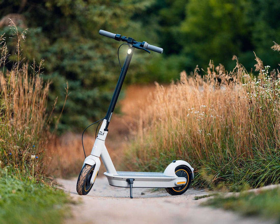 Sustainable Rides: How Electric Scooters Shape Green Transportation in 2024