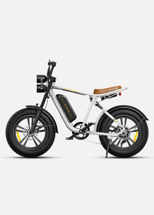 Engwe M20 Electric Bike