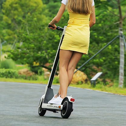 AnyHill UM-2 Electric Scooter